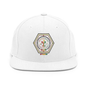 TRU Snapback Hat