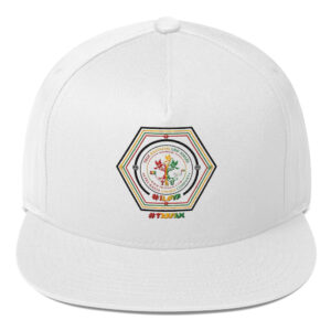 TRU Flat Bill Cap
